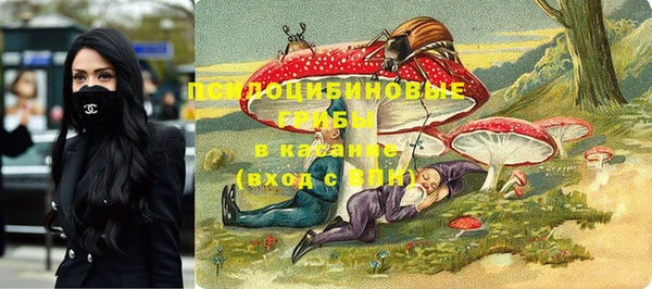 шишки Алексин