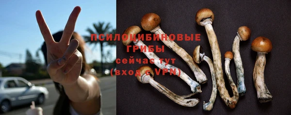 ешки Алексеевка