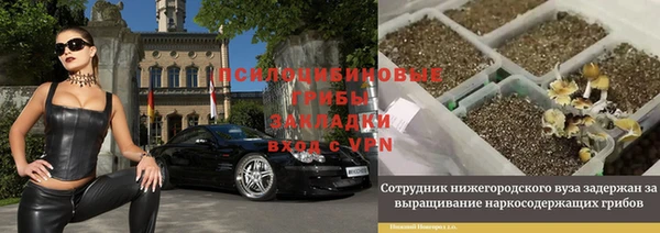 трава Алзамай