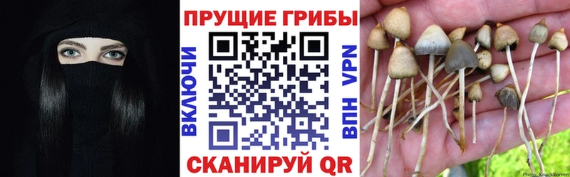 Псилоцибиновые грибы мухоморы  Плавск 